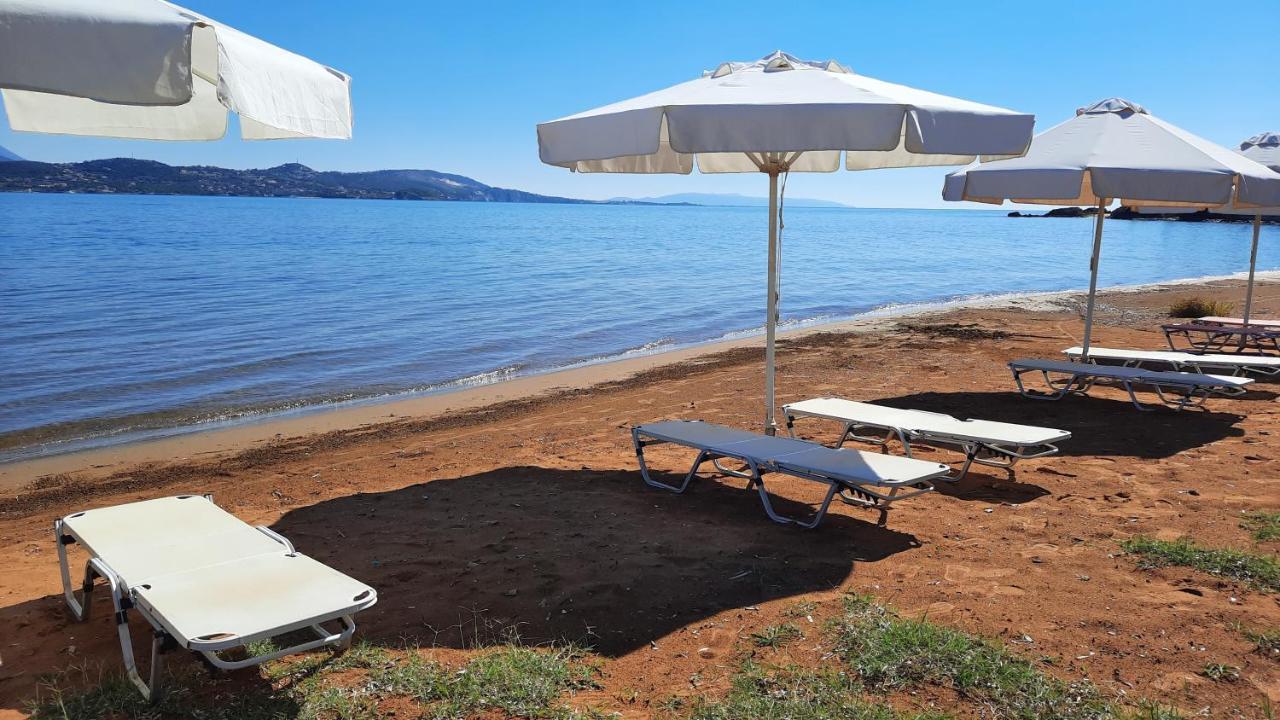 Alekos Beach Houses-Alekos Beach Complex Lixúri Kültér fotó